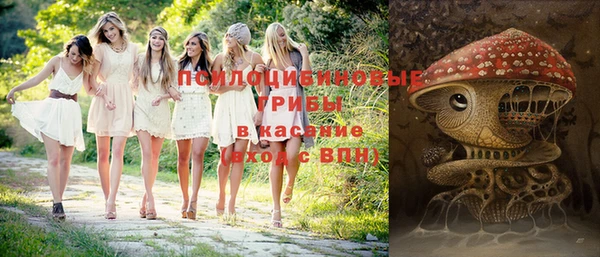 дурь Волоколамск