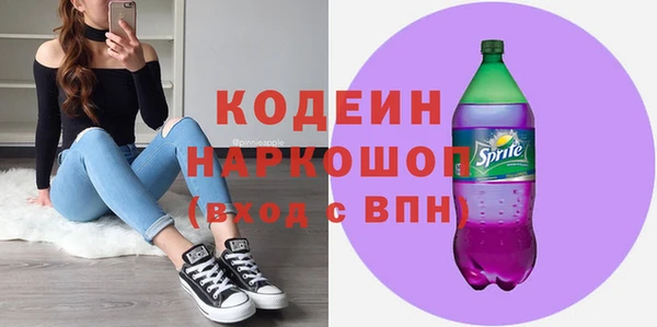 дмт Тайга