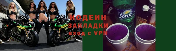 дмт Тайга