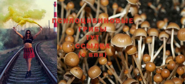 дурь Волоколамск