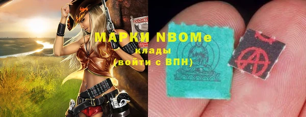 дмт Тайга