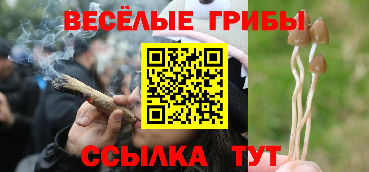 Снежинск  где купить наркотик  Вход с VPN  Псилоцибиновые грибы Magic Shrooms  Галлюциногенные грибы прущие грибы 